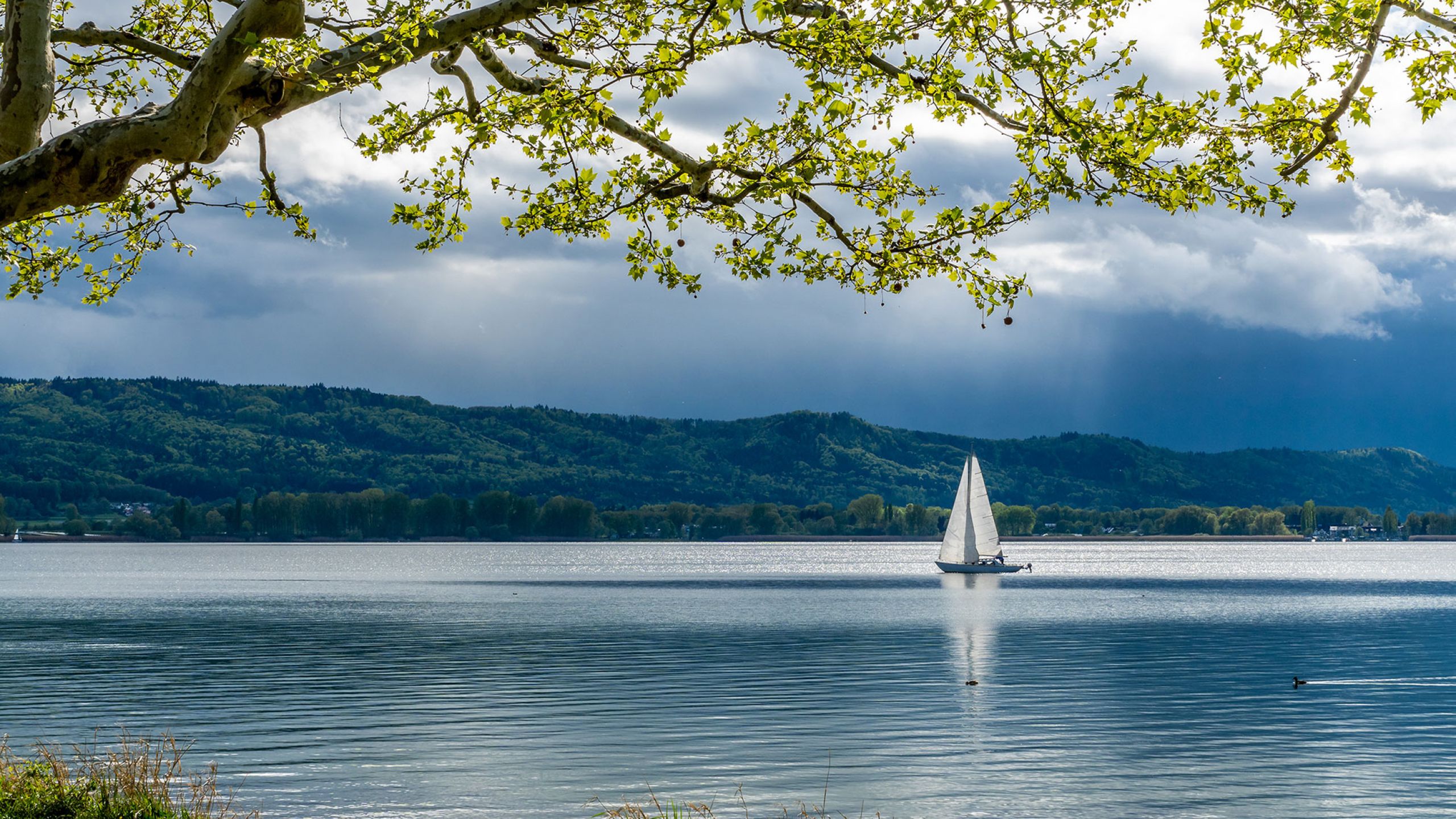 Bodensee Segelschiff